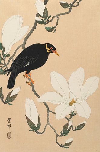 Hill Mynna op een Magnolia -tak, Ohara Koson