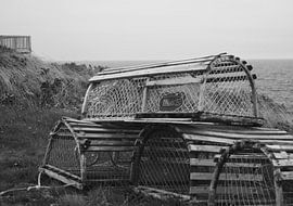 Lobster Trap by Raimund Göppel