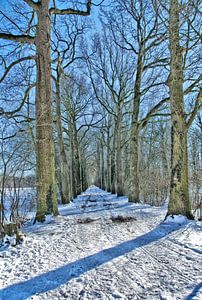 Ein Waldweg an einem Winternachmittag. von Jurjen Jan Snikkenburg