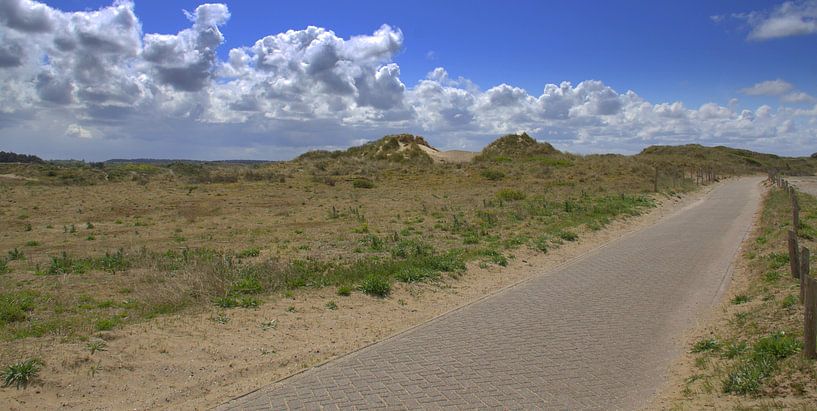 Hiking trail in Zandvoort by Jose Lok