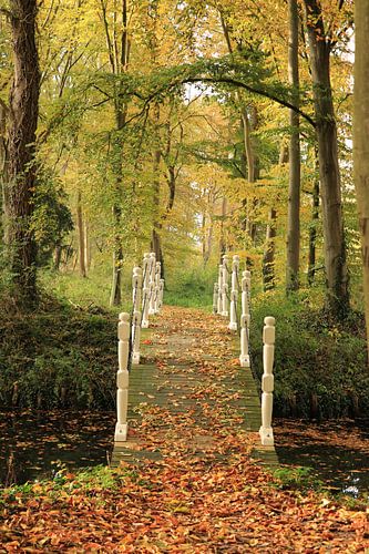 Bruggetje bij Kasteel ter Hooge