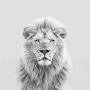 Löwe in Schwarz-Weiß von Poster Art Shop Miniaturansicht