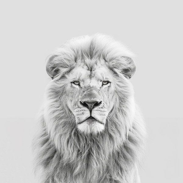 Löwe in Schwarz-Weiß von Poster Art Shop