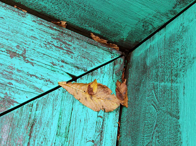Rijnkade close up van Ilse Schoneveld
