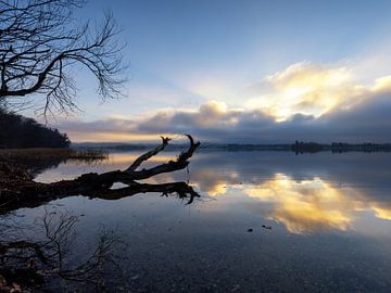 Gouden uur aan de Staffelsee van Teresa Bauer