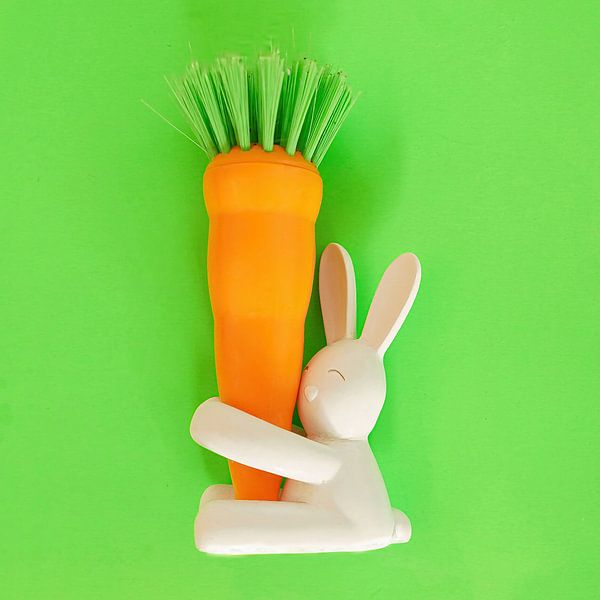 Artistic photo with dishwashing brush . by Saskia Dingemans Awarded Photographer