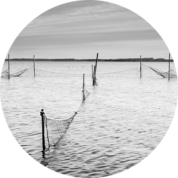 Palingfuik in het Lauwersmeer van robert wierenga