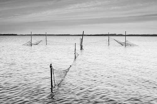 Eel trap in the Lauwersmeer lake