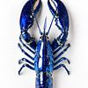 Hyperrealistischer Blauer Hummer von oben – Minimalistische Food-Fotografie von Roger VDB