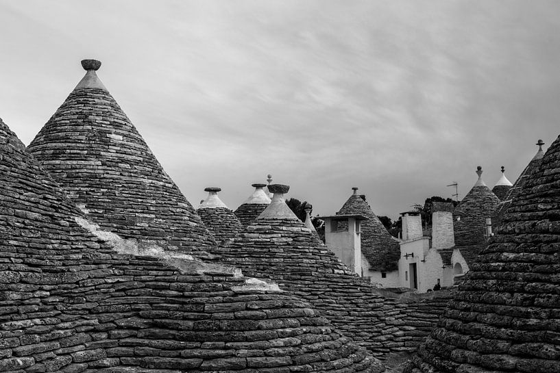 Het dak op by Yvonne van der Meij