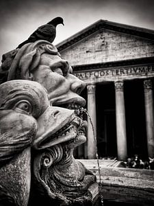 Photographie noir et blanc : Rome - Fontana del Pantheon