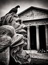 Photographie noir et blanc : Rome - Fontana del Pantheon par Alexander Voss Aperçu