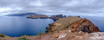 Weg entlang der Ponta do Furado auf der Halbinsel Ponta de São Lourenço auf Madeira von Sjoerd van der Wal Fotografie