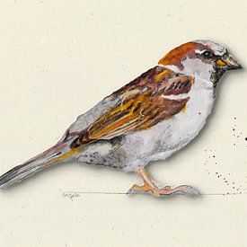 Mus met schaduw vogel illustratie van Angela Peters