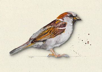 Mus met schaduw vogel illustratie van Angela Peters