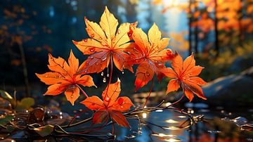 Herbstliche Ahornblätter in der Sonne Hintergrund von Animaflora PicsStock