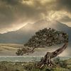 Desolaat landschap van Ton Buijs