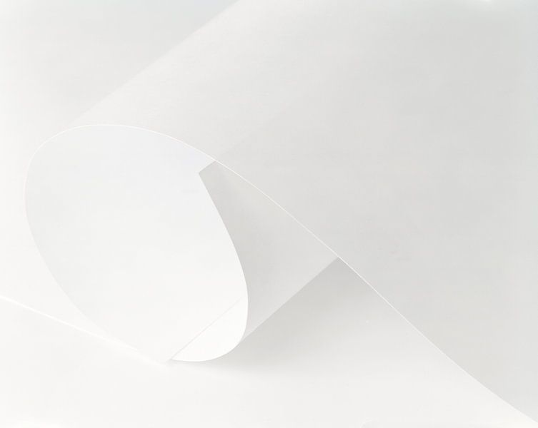 Paper Curl von Steven Crabbé