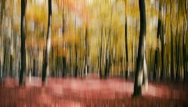 forêt d'automne abstraite