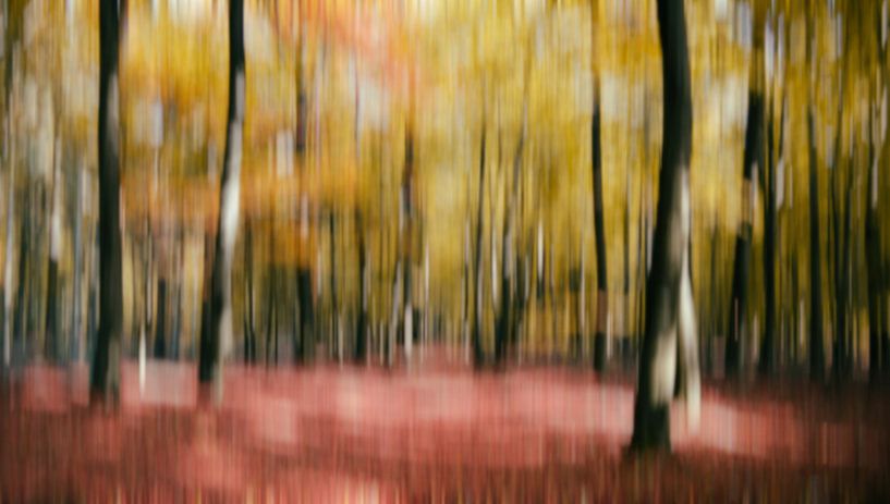 abstrakte Herbst Wald von Karin vanBijlevelt