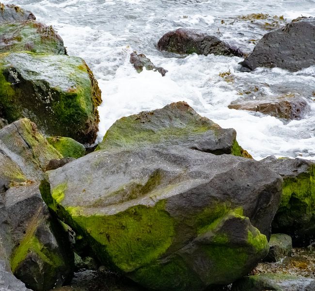 Rots van Truckpowerr