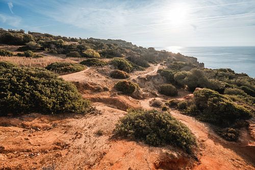 Kustlandschap Albufeira Zonlicht op Rode Kliffen