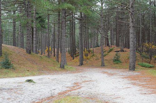 Weg durch die Dünen