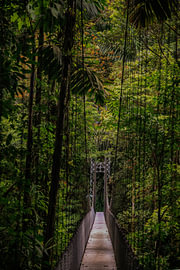 Costa Rica – wo Natur, Abenteuer und pure Schönheit aufeinander treffen
