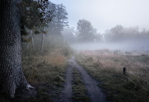 Stille