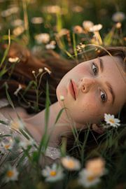 Flower magic in the sunlight by Poster Art Shop