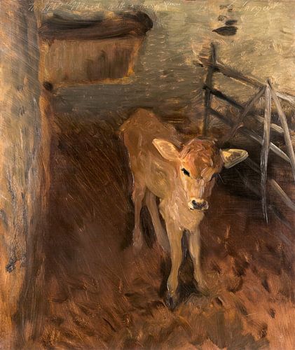 Ein Kalb aus Jersey (1893) von John Singer Sargent von Dina Dankers