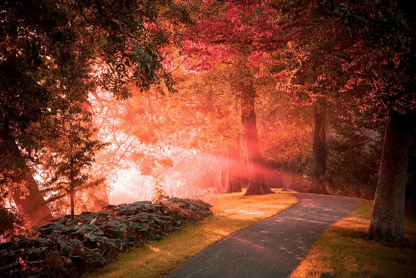 Hello morning sunshine by Marc Hollenberg
