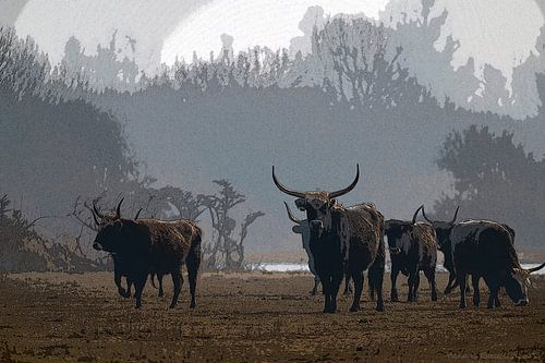 Alter Westen in den neuen Niederlanden