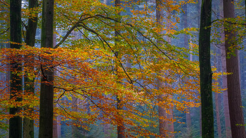 Herfst