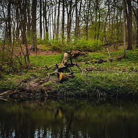 Souche d'arbre au bord de l'eau sur Merel Pape Photography