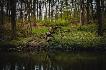 Boomstronk langs het water van Merel Pape Photography