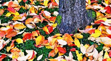 Beukenbladeren in herfstkleuren mixed media van Werner Lehmann
