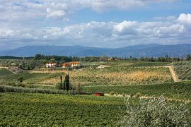 Toscane op zn best van Tess Groote