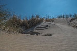 Kennemerduinen, Nord-Holland