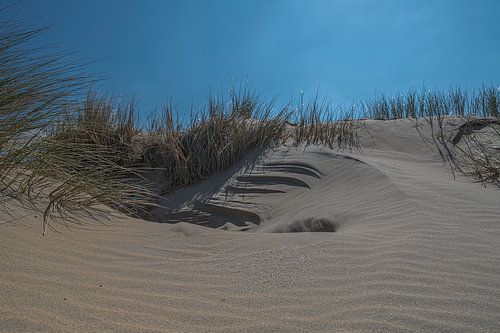 Kennemerduinen, Noord-Holland