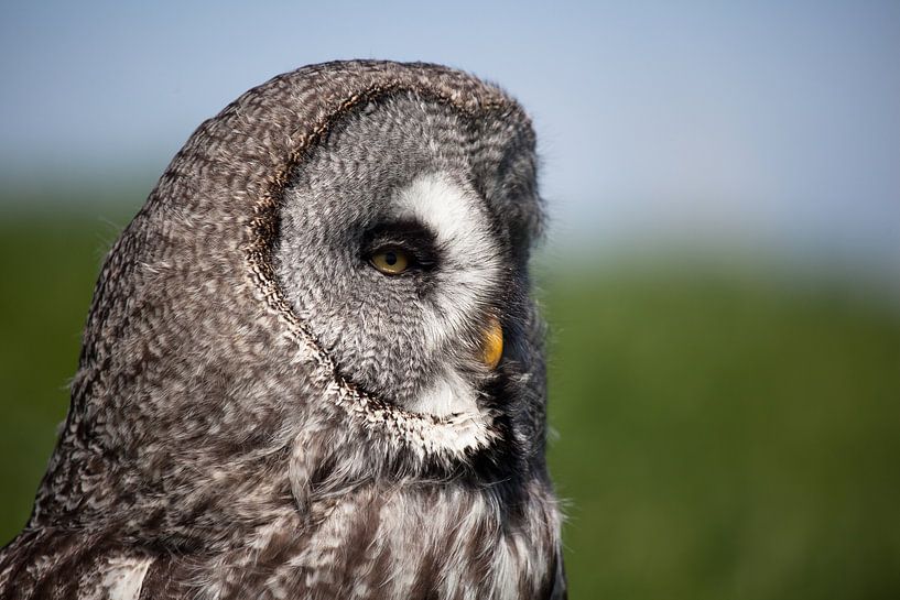 En profiel par Joke Beers-Blom