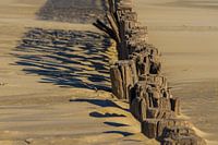 Beach posts