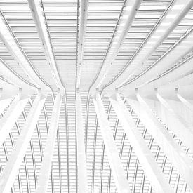 Repeating pattern van Frank Diepeveen