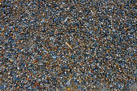 Schalen von Blond Beeld