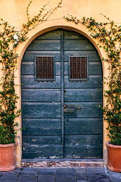 Oude houten blauwe deur met klimop van Dafne Vos