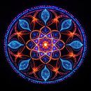 Mandala of cosmic love by Niklas Maximilian thumbnail