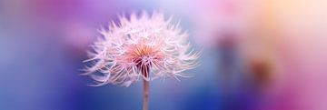 Wilde Paardenbloem: Macrofotografie met Strakke Compositie van Surreal Media