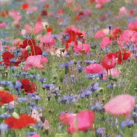 bouquet de coquelicots sur Yvonne Blokland