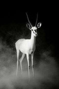 Antilope van Poster Art Shop