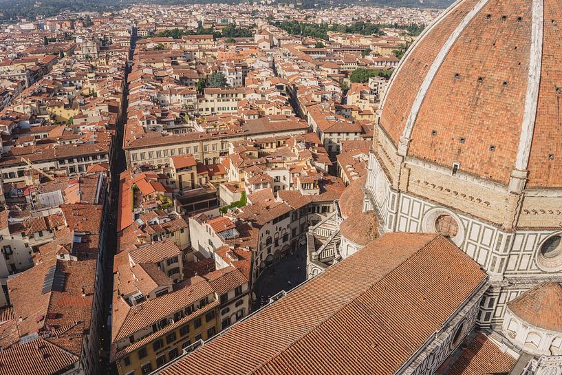 Roofs of Florence by Shanti Hesse